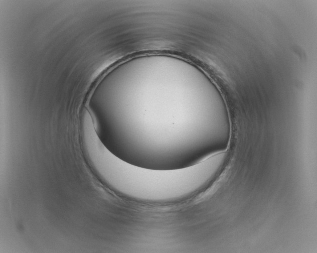 X0000115291073200911231244
