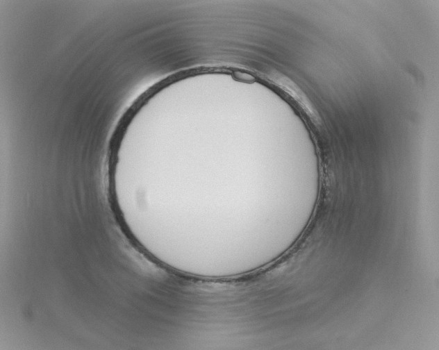 X0000115291076200911231244