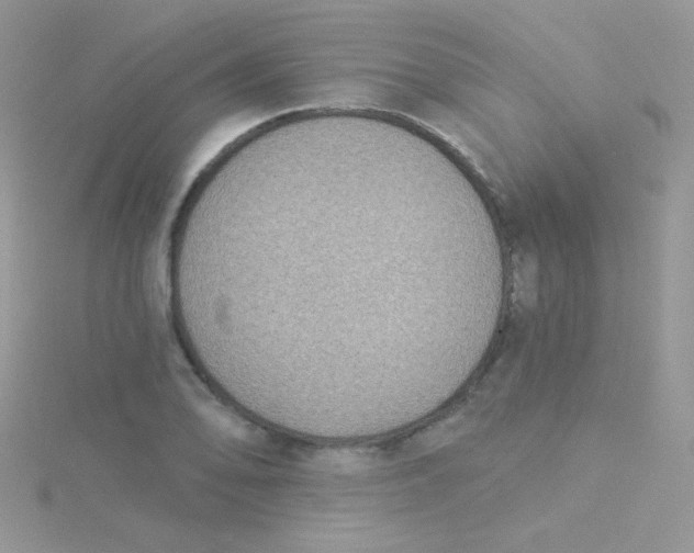 X0000115291078200911231244