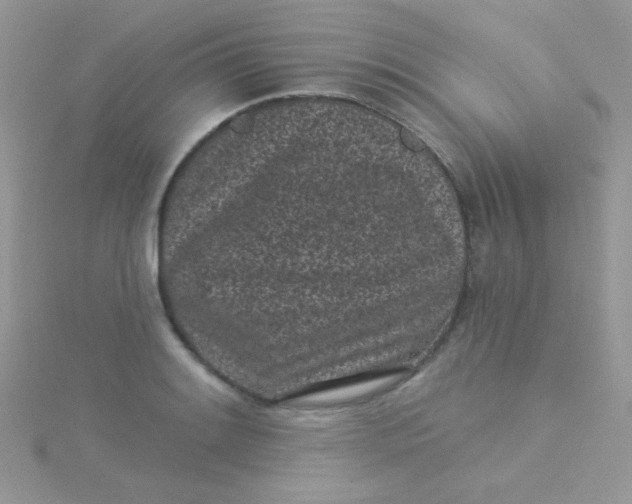 X0000115291084200911231243