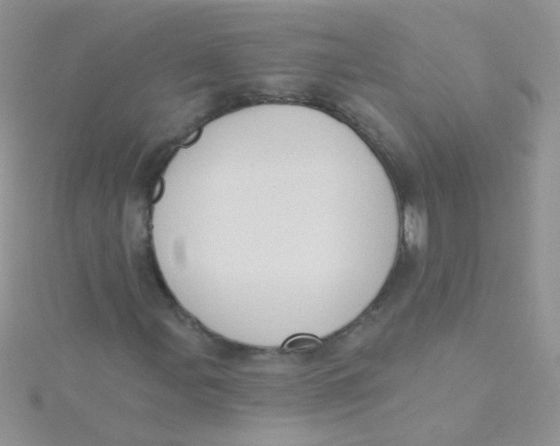 X0000115291107200911231243