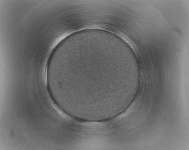 X0000115291127200911231243