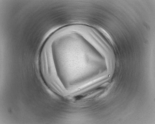 X0000115291149200911231243