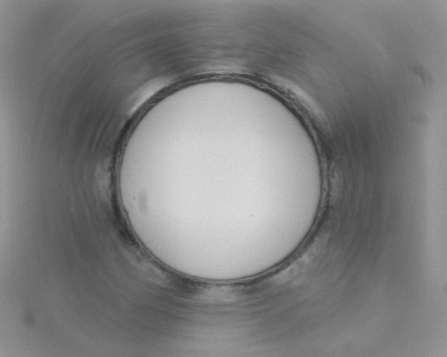 X0000115291162200911231242