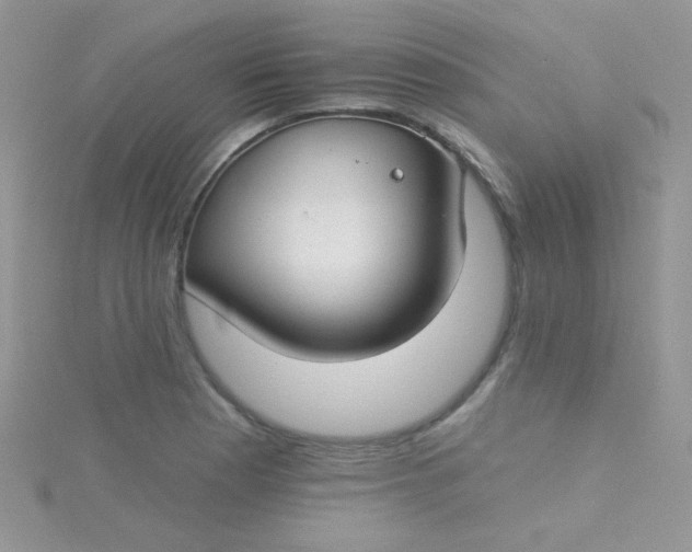 X0000115291177200911231242