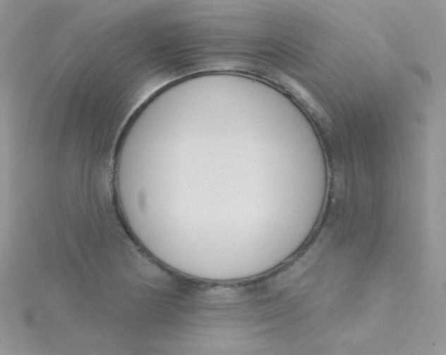 X0000115291178200911231242