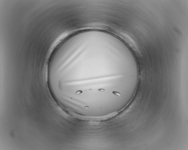 X0000115291180200911231242