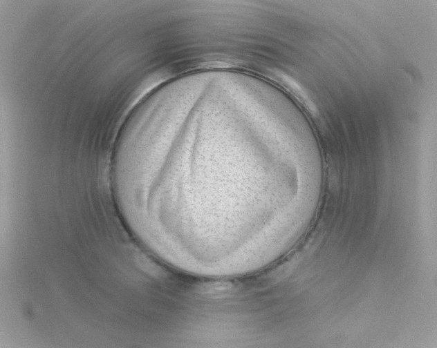 X0000115291186200911231242