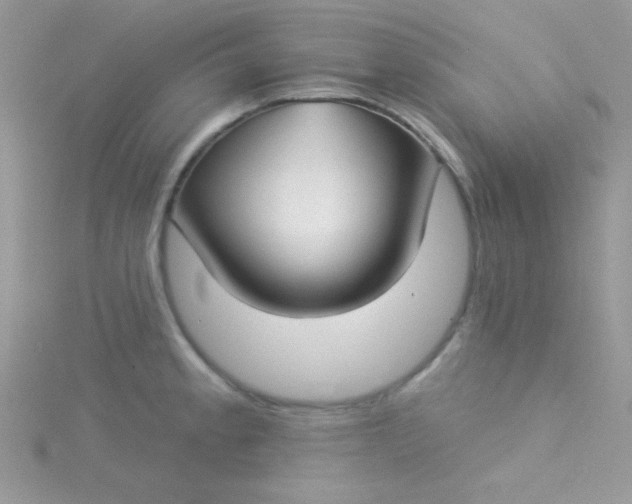 X0000115291189200911231242