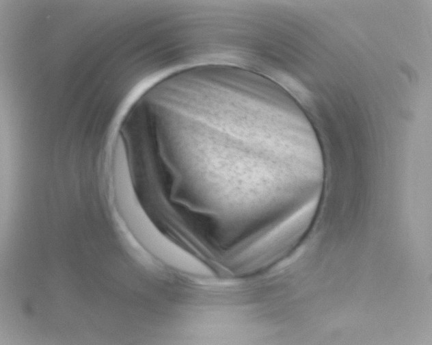 X0000115291200200911231242