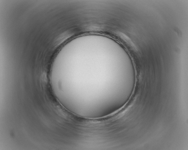X0000115291209200911231241