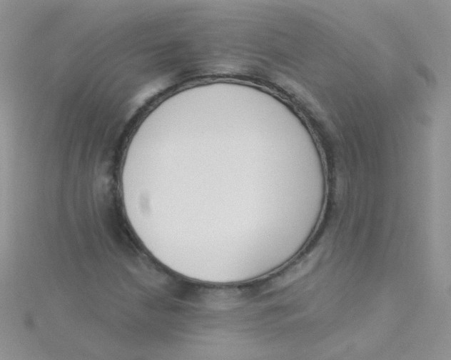 X0000115291210200911231241