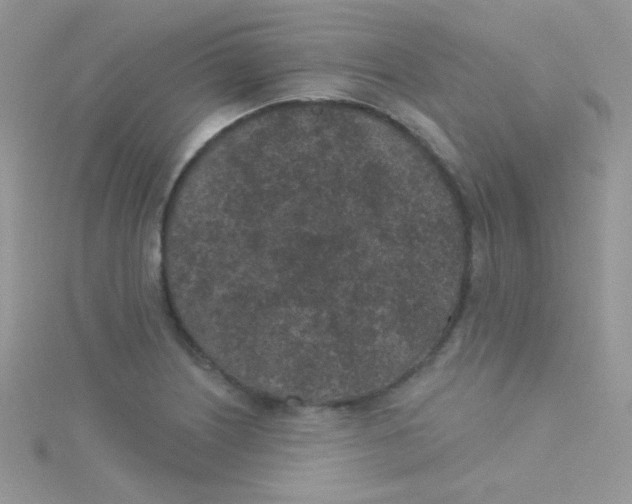 X0000115291226200911231242