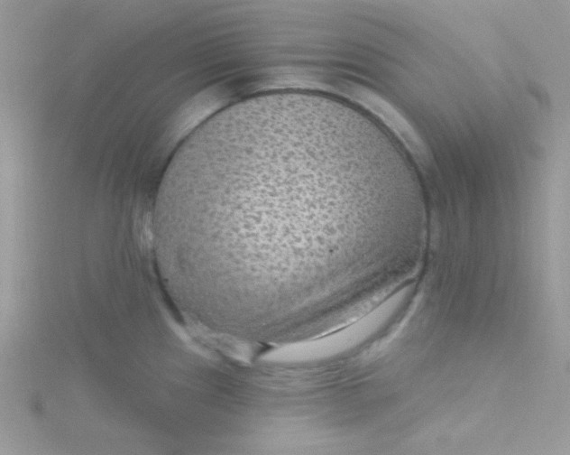 X0000115291241200911231242