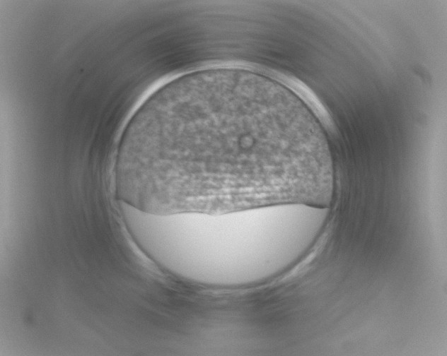 X0000115291244200911231242