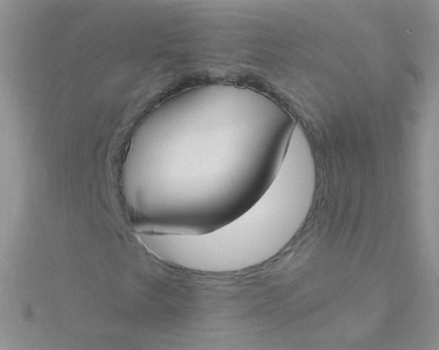 X0000115291249200911231241