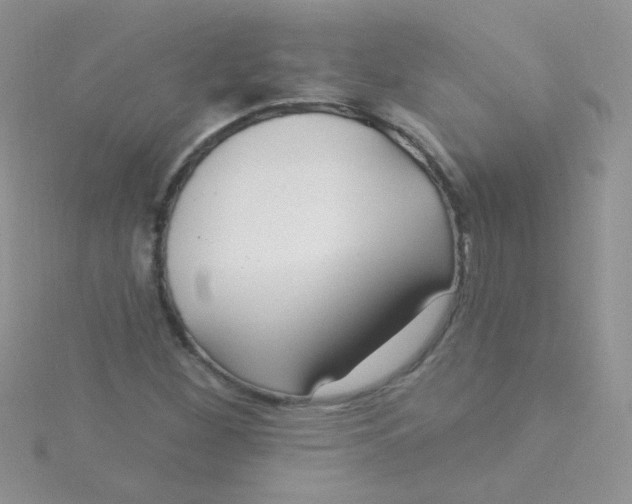 X0000115291260200911231241