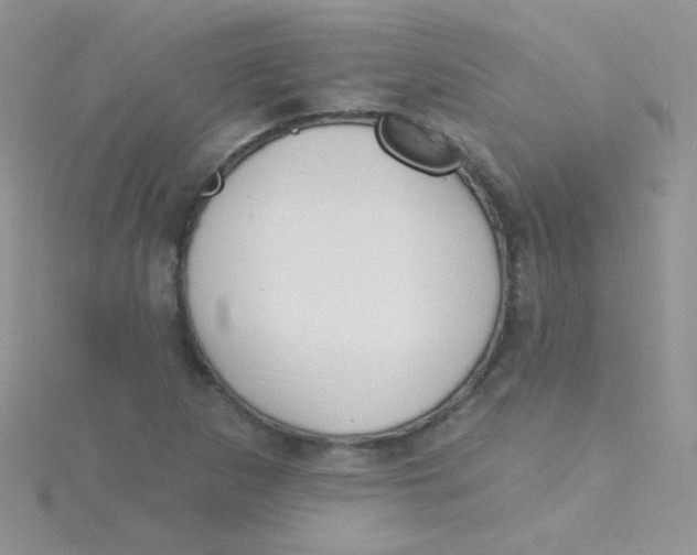 X0000115291265200911231241