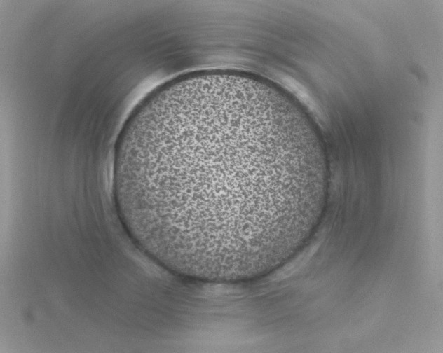 X0000115291275200911231241