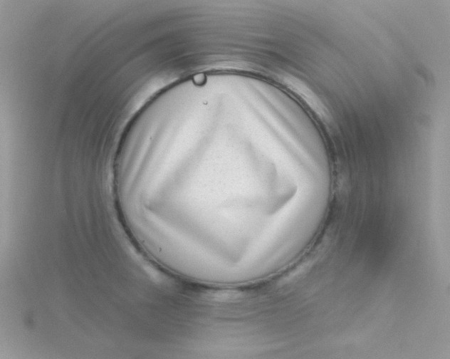 X0000115291282200911231241