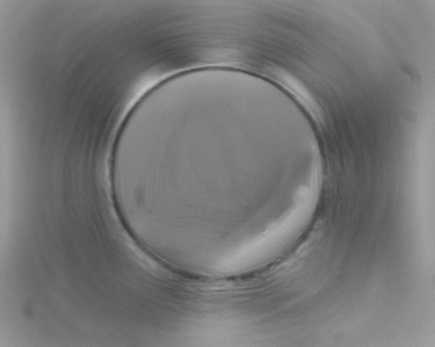 X0000115291291200911231241