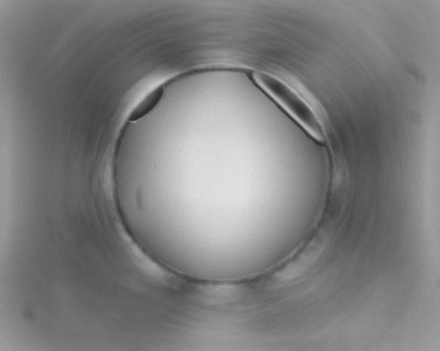 X0000115291293200911231241