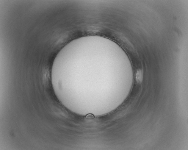 X0000115291299200911231240