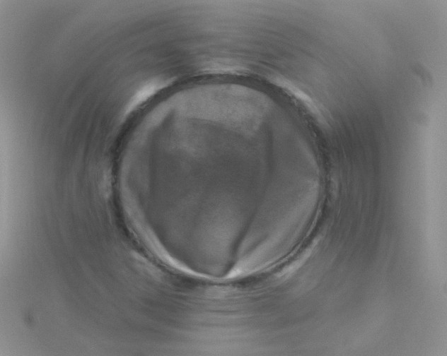 X0000115291306200911231240
