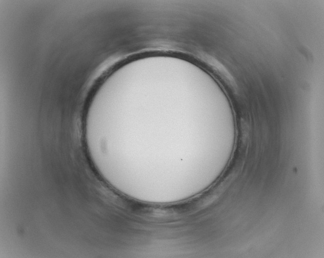 X0000115291318200911231240