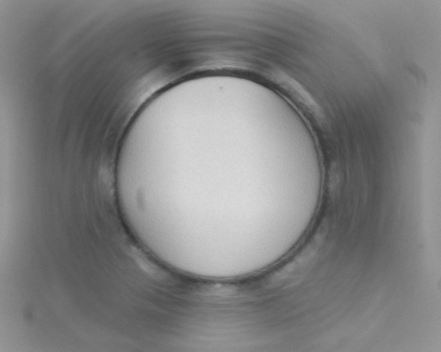 X0000115291321200911231240
