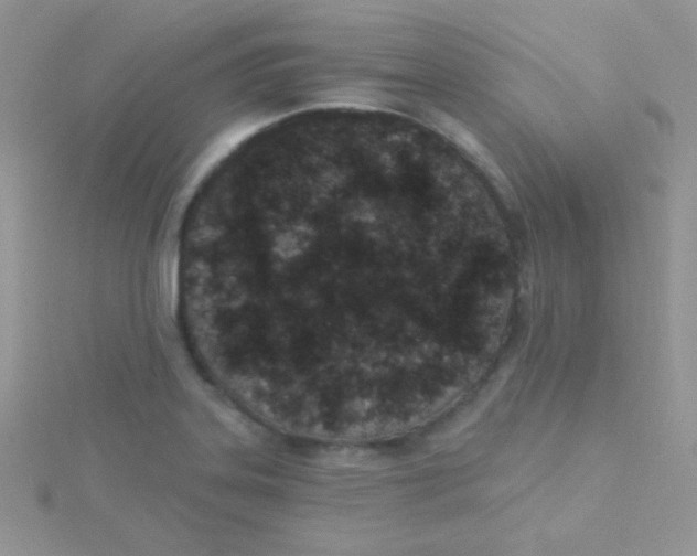 X0000115291323200911231240