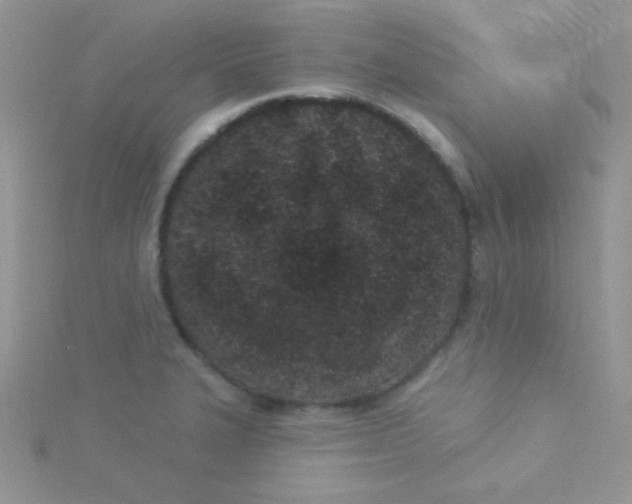 X0000115291327200911231240