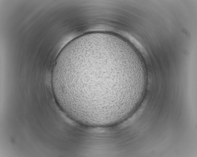 X0000115291329200911231240