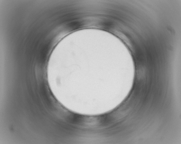 X0000115291338200911231241