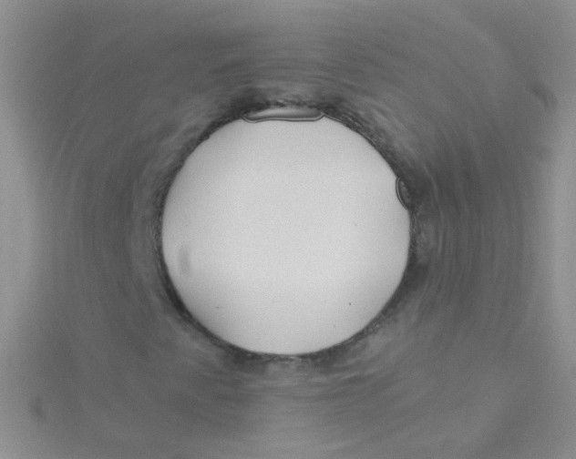 X0000115291345200911231240
