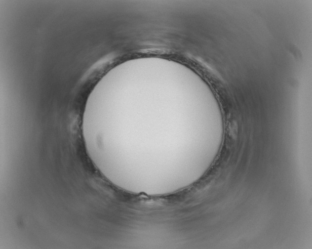 X0000115291351200911231240