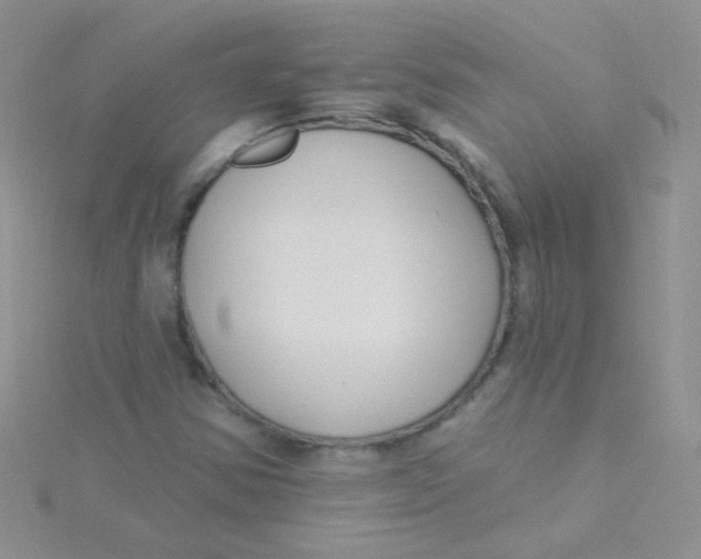 X0000115291354200911231240