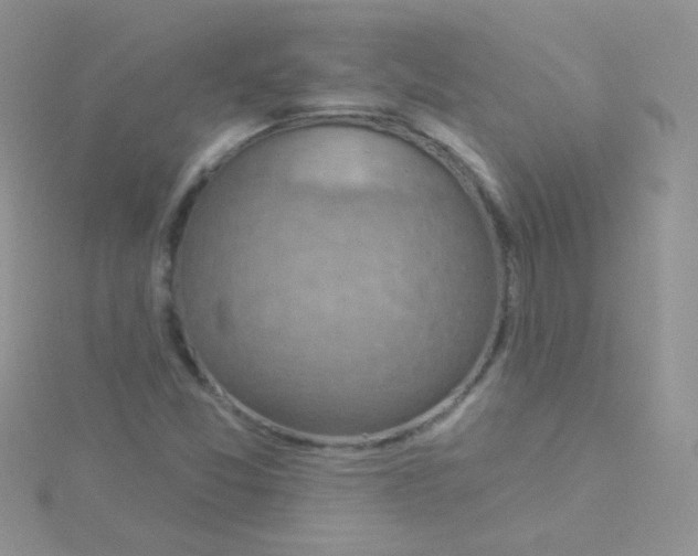 X0000115291357200911231240