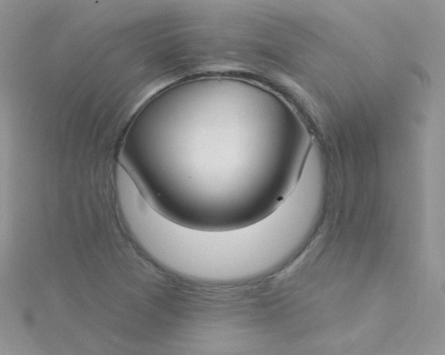 X0000115291361200911231240