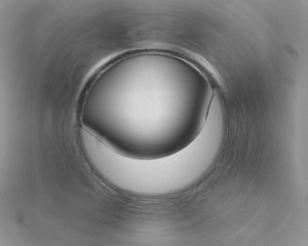 X0000115291364200911231240