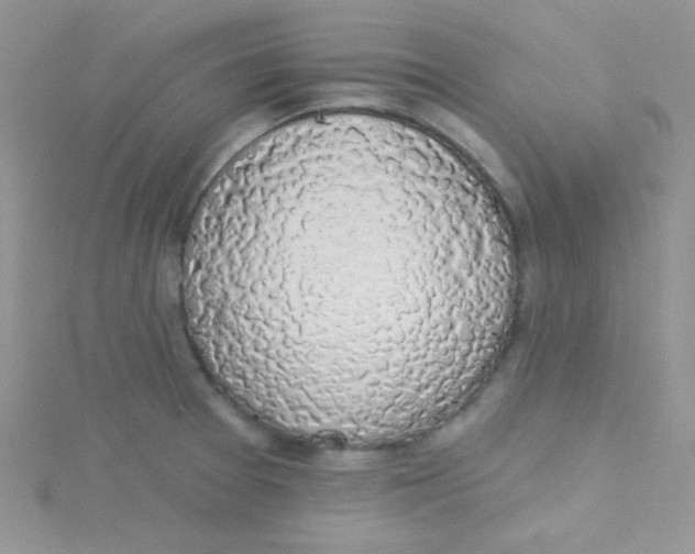 X0000115291377200911231240