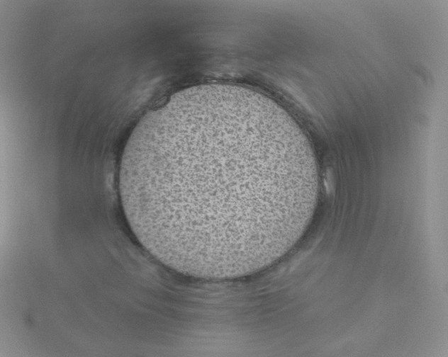 X0000115291396200911231239
