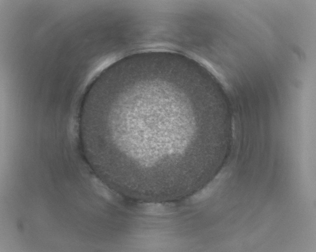 X0000115291405200911231239