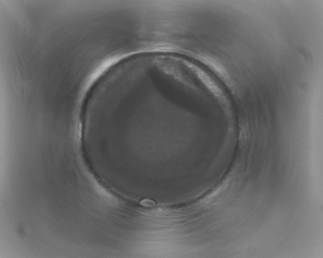 X0000115291414200911231239