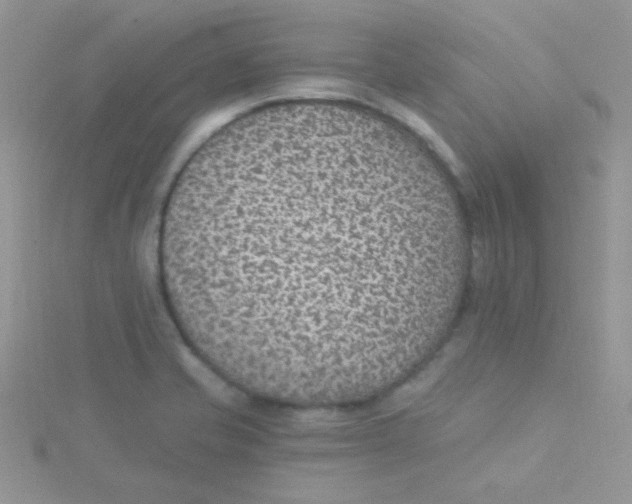 X0000115291421200911231239