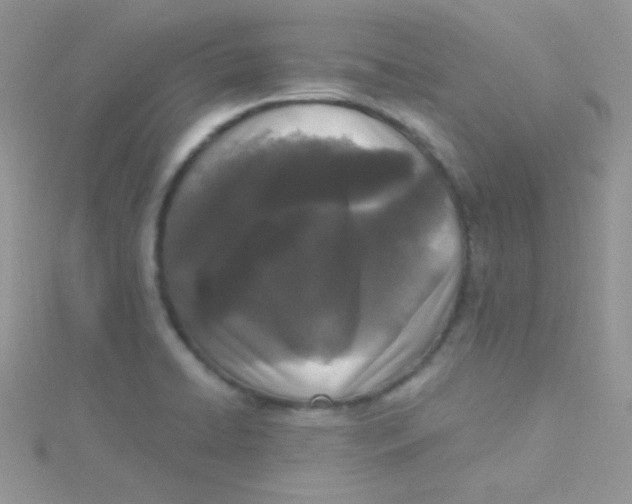 X0000115291422200911231239