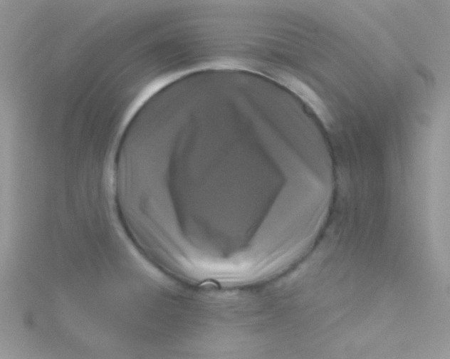 X0000115291428200911231239