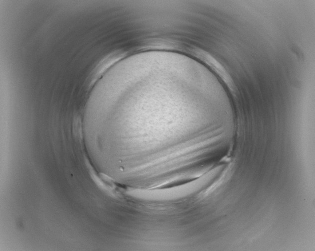 X0000115291433200911231239