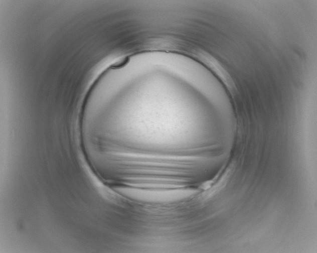 X0000115291434200911231239