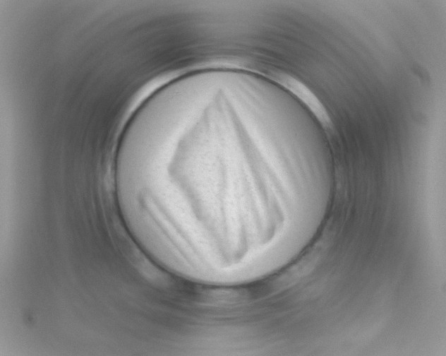 X0000115291436200911231239